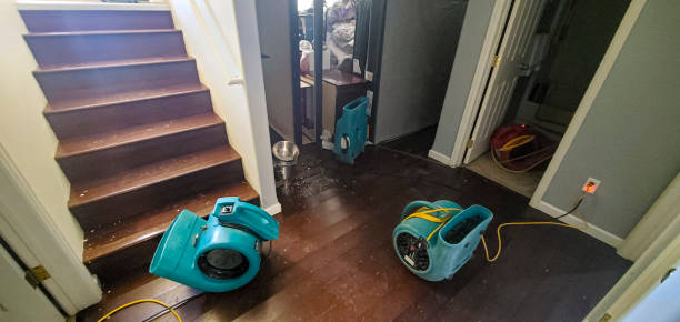 Best 24/7 water damage repair  in Westwood, NJ