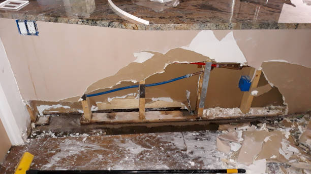 Best Water damage restoration near me  in Westwood, NJ