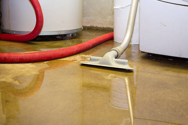 Best Flood restoration services  in Westwood, NJ