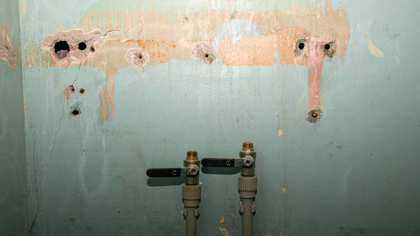 Best Flood damage cleanup  in Westwood, NJ