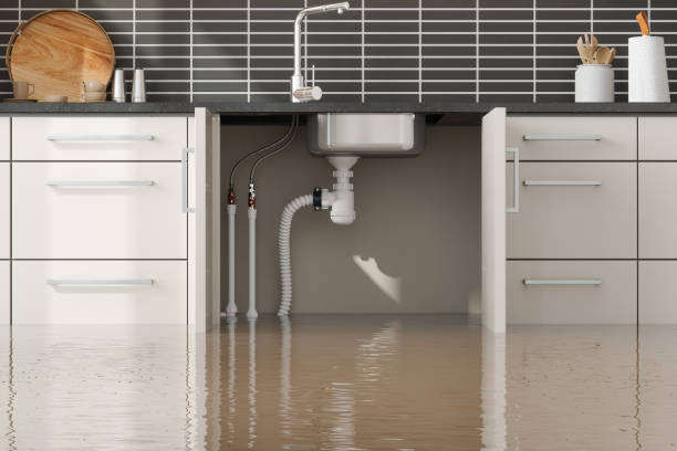 Best Water damage restoration near me  in Westwood, NJ