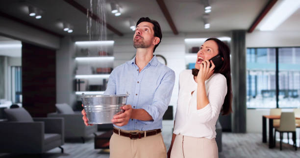 Best Residential water damage restoration  in Westwood, NJ