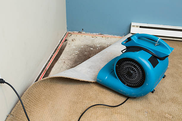 Best Residential water damage restoration  in Westwood, NJ